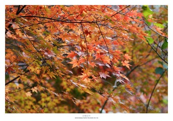 20121103_0012.jpg