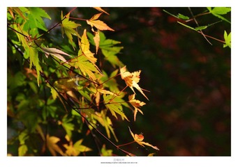 20121103_0013.jpg