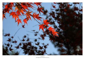 20121103_0014.jpg