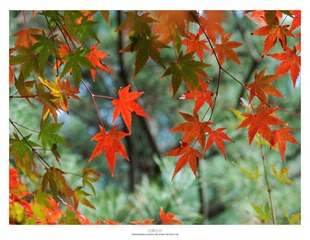 20121103_0015.jpg