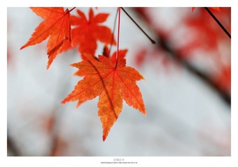 20121103_0016.jpg