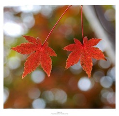 20121103_0017.jpg