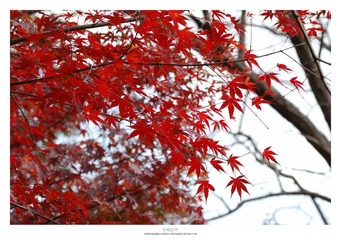 20121103_0018.jpg