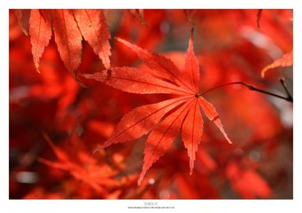 20121103_0019.jpg