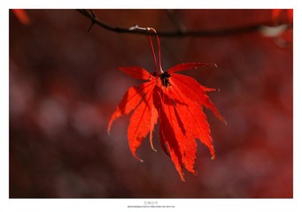 20121103_0020.jpg