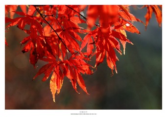 20121103_0021.jpg