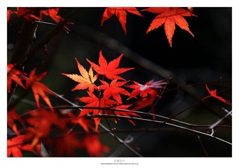 20121103_0022.jpg