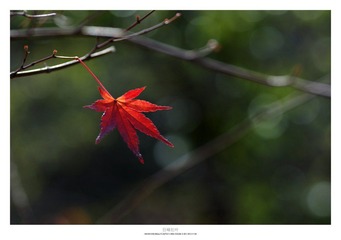 20121103_0023.jpg