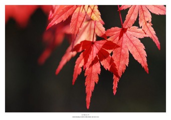 20121103_0024.jpg