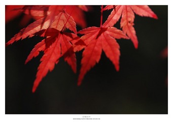20121103_0025.jpg