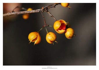 20121103_0026.jpg