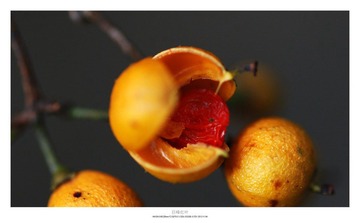 20121103_0027.jpg