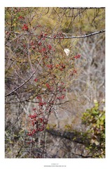 20121103_0028.jpg