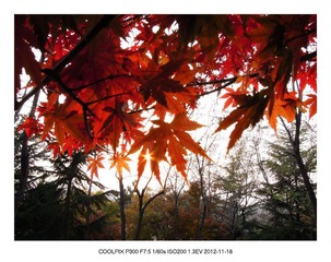 DSCN2549.jpg