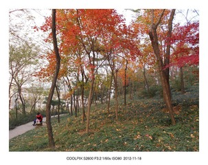 DSCN0080.jpg