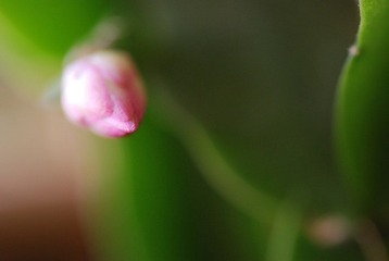 DSC_0166_464.JPG