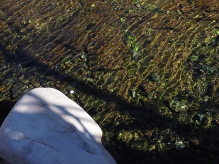 DSCN2727.jpg