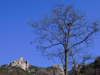 DSCN2737.jpg