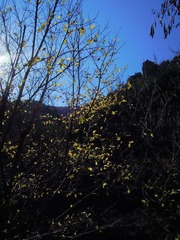 DSCN2740.jpg