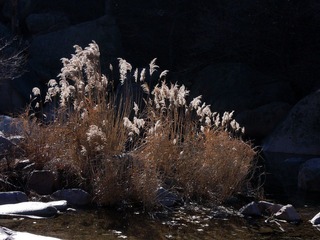 DSCN2742.jpg