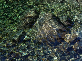 DSCN2747.jpg
