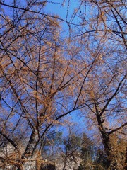 DSCN2757.jpg