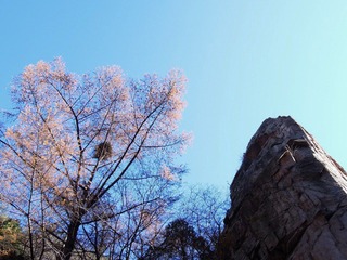 DSCN2762.jpg