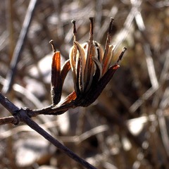 DSCN2801.jpg