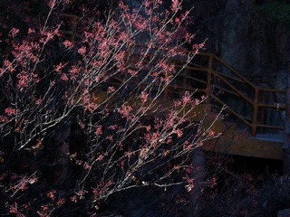 DSCN2805.jpg