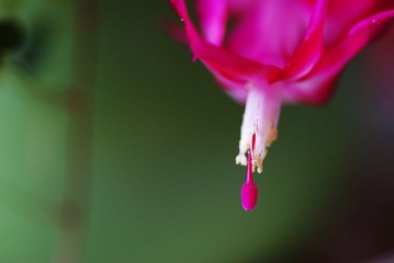 DSC_0200.jpg