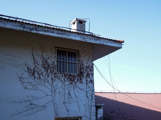 DSCN3008.jpg