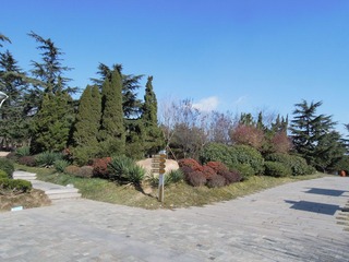 DSCN3021.jpg