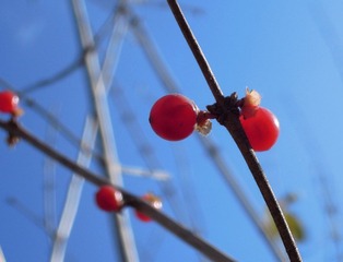 DSCN3022.jpg