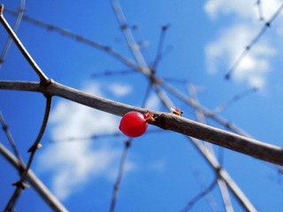 DSCN3024.jpg