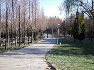 DSCN3042.jpg