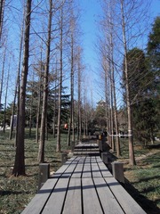 DSCN3055.jpg