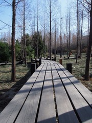 DSCN3056.jpg