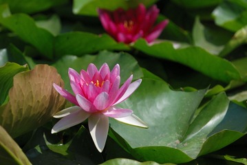 DSC_0099.jpg