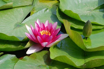 DSC_0036.jpg