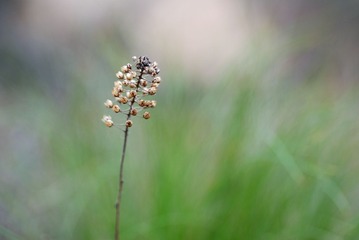 DSC_0115.jpg