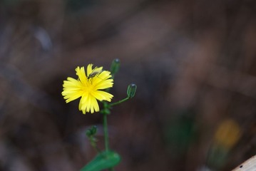 DSC_0116.jpg