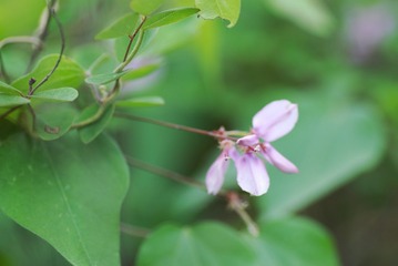 DSC_0120.jpg