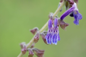 DSC_0138.jpg