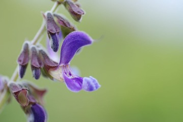 DSC_0139.jpg