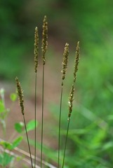 DSC_0148.jpg