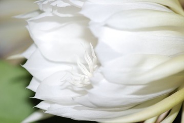 DSC_0237.jpg