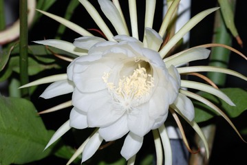 DSC_0275.jpg