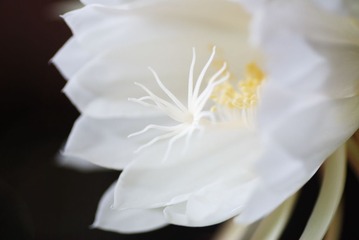 DSC_0295.jpg