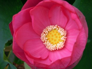 DSCN5931.JPG