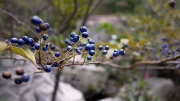 P1060202